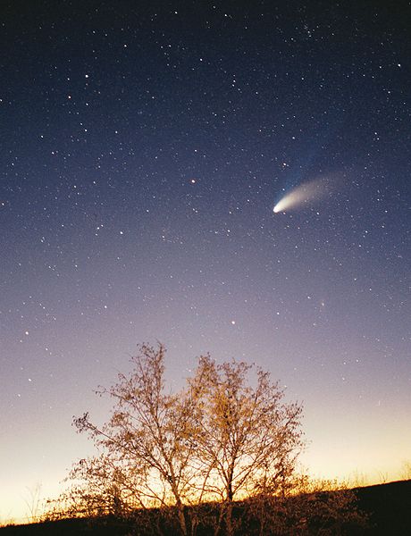 Hale-Bopp Comet, 1997 (photo by Philipp Salzgeber)